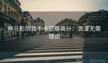 神马影院我不卡豆瓣高分：浪漫无需理由