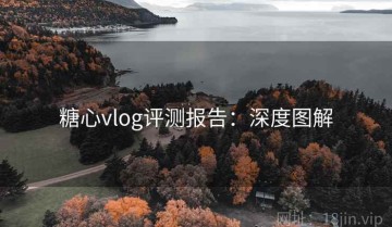 糖心vlog评测报告：深度图解