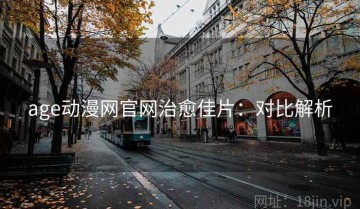 age动漫网官网治愈佳片：对比解析