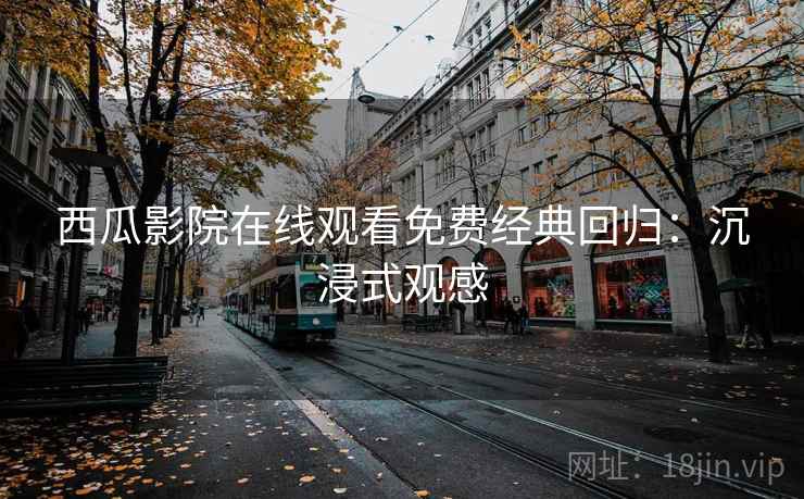 西瓜影院在线观看免费经典回归：沉浸式观感