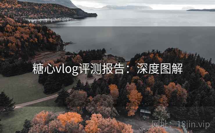 糖心vlog评测报告:深度图解 糖心vlog评测报告:深度图解